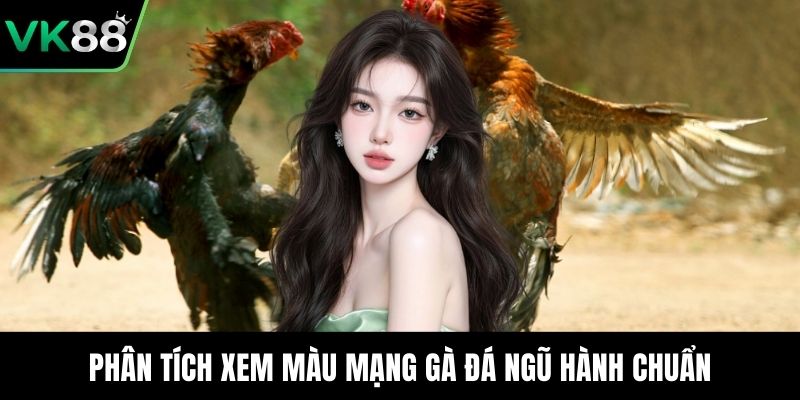 Phân tích xem màu mạng gà đá ngũ hành chuẩn