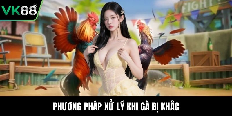 Phương pháp xử lý khi gà bị khắc