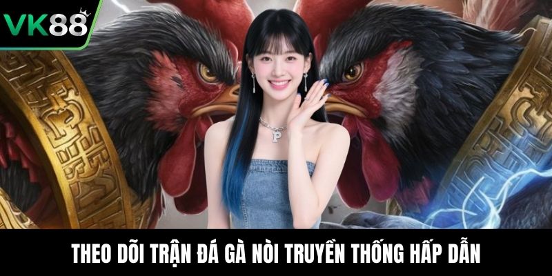 Theo dõi trận đá gà nòi truyền thống hấp dẫn