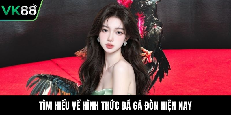 Tìm hiểu về hình thức đá gà đòn hiện nay