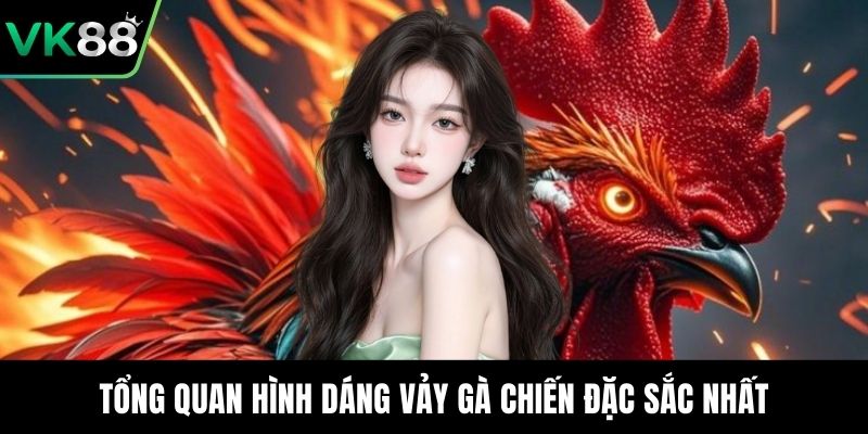 Tổng quan hình dáng vảy gà chiến đặc sắc nhất
