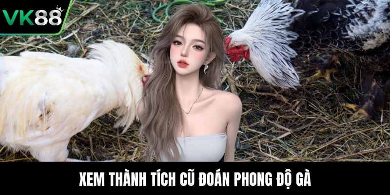 Xem thành tích cũ đoán phong độ gà